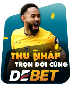 debet-frame